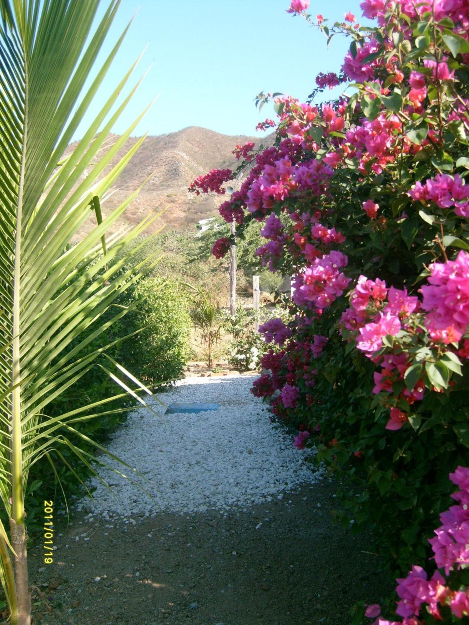 Casa Tara Hotell Taganga Exteriör bild